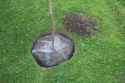 WÜHLMAUSKORB 60 cm verzinkt