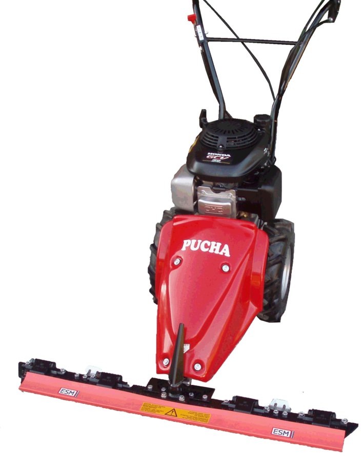 pucha 55